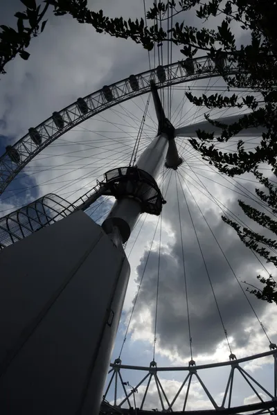 DSC_2801 (Large).JPG